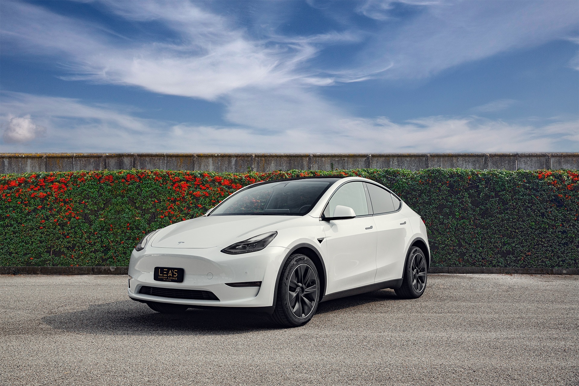 Tesla Model y performance