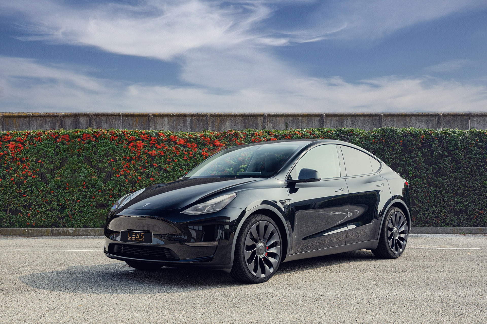 Tesla Model y performance