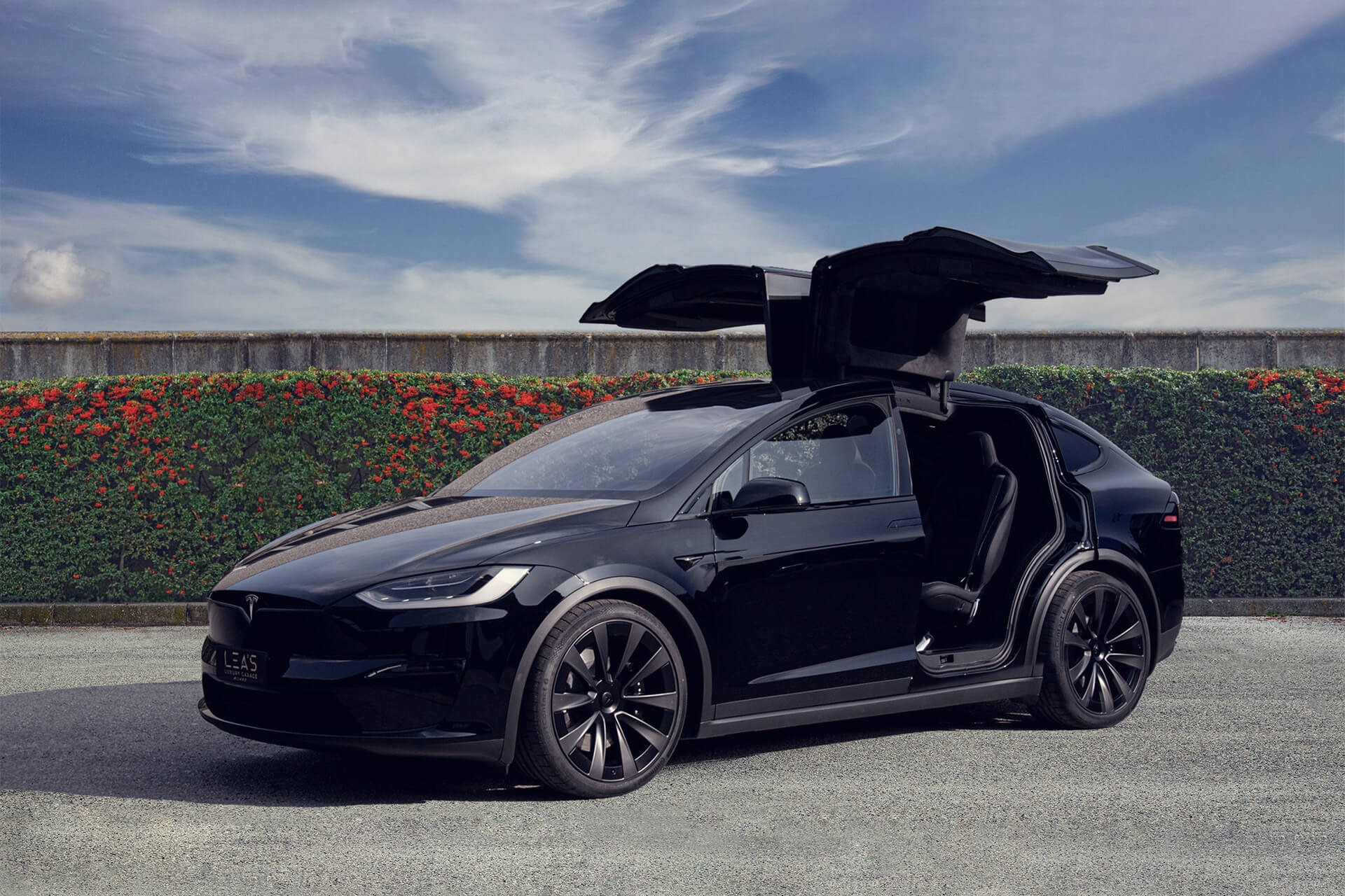 Tesla Model x plaid