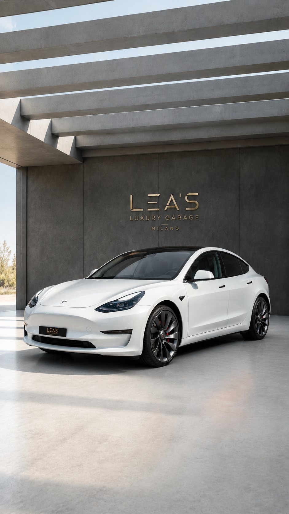 Tesla Model 3 performance