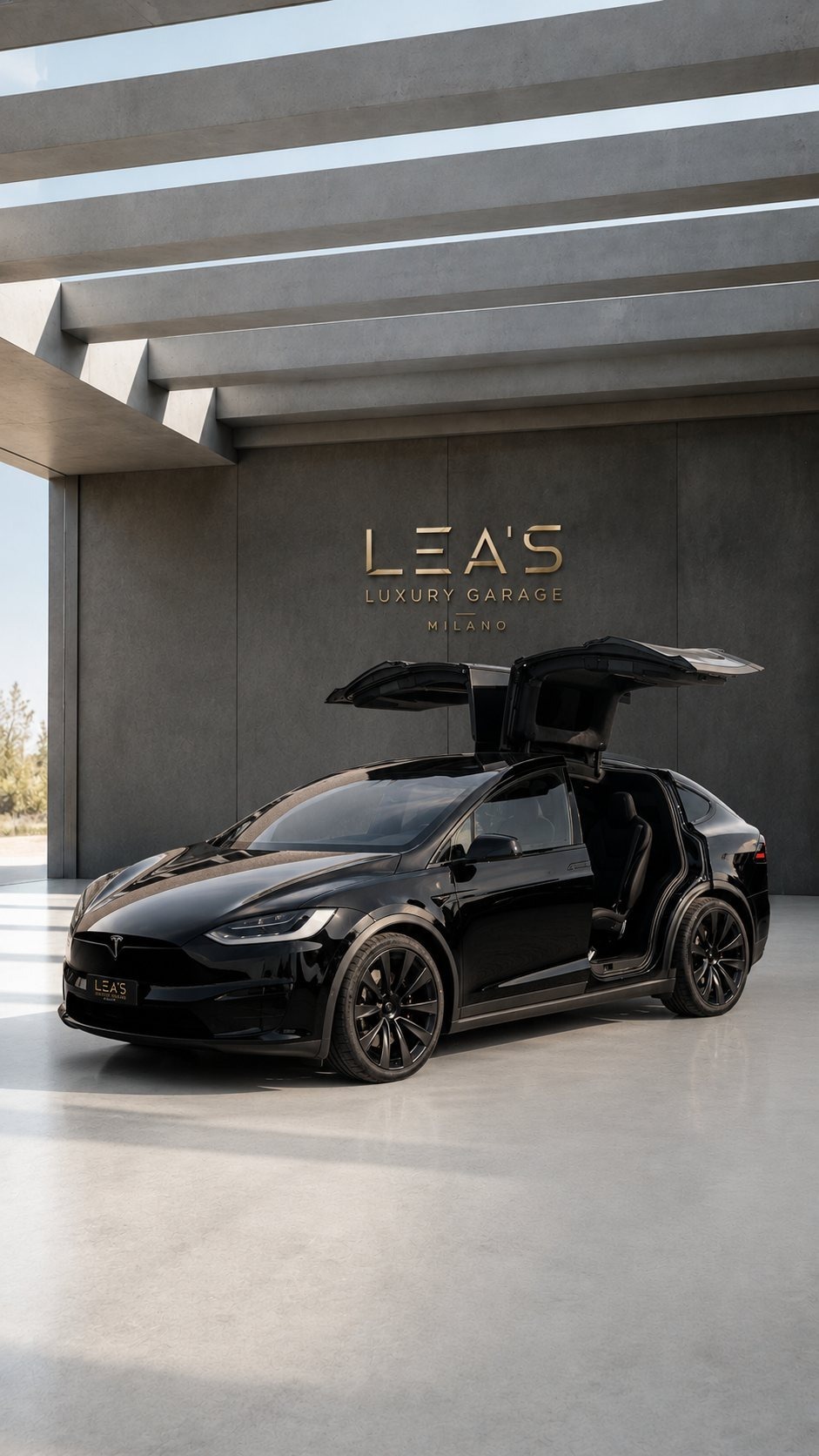 Model X Plaid
